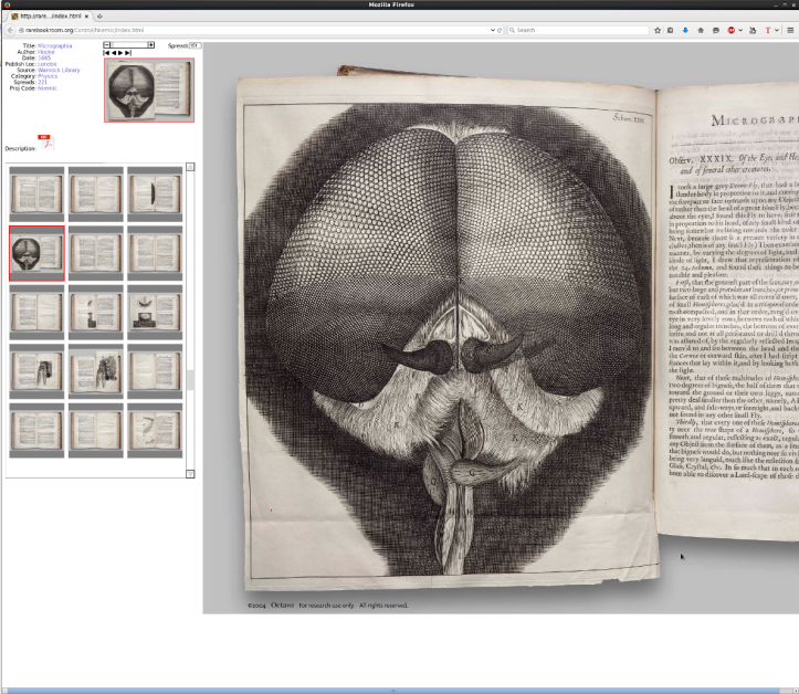 Example content from Rarebooks.com. A page showing the head of a fly from Robert Hookes Micrographia.